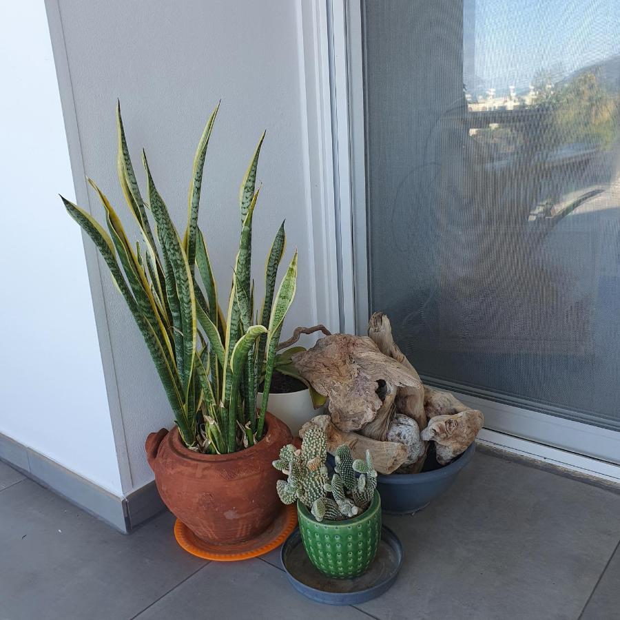 Latchi Ithaki, 2 Bedroom Penthouse Lachi Exterior photo